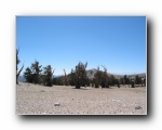 2003-09-20 White (58)